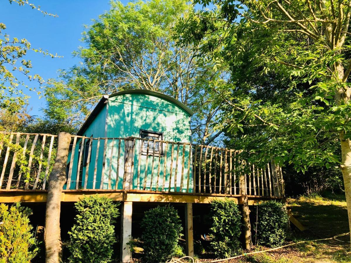 Lapin Cottage Long Bredy Exterior foto