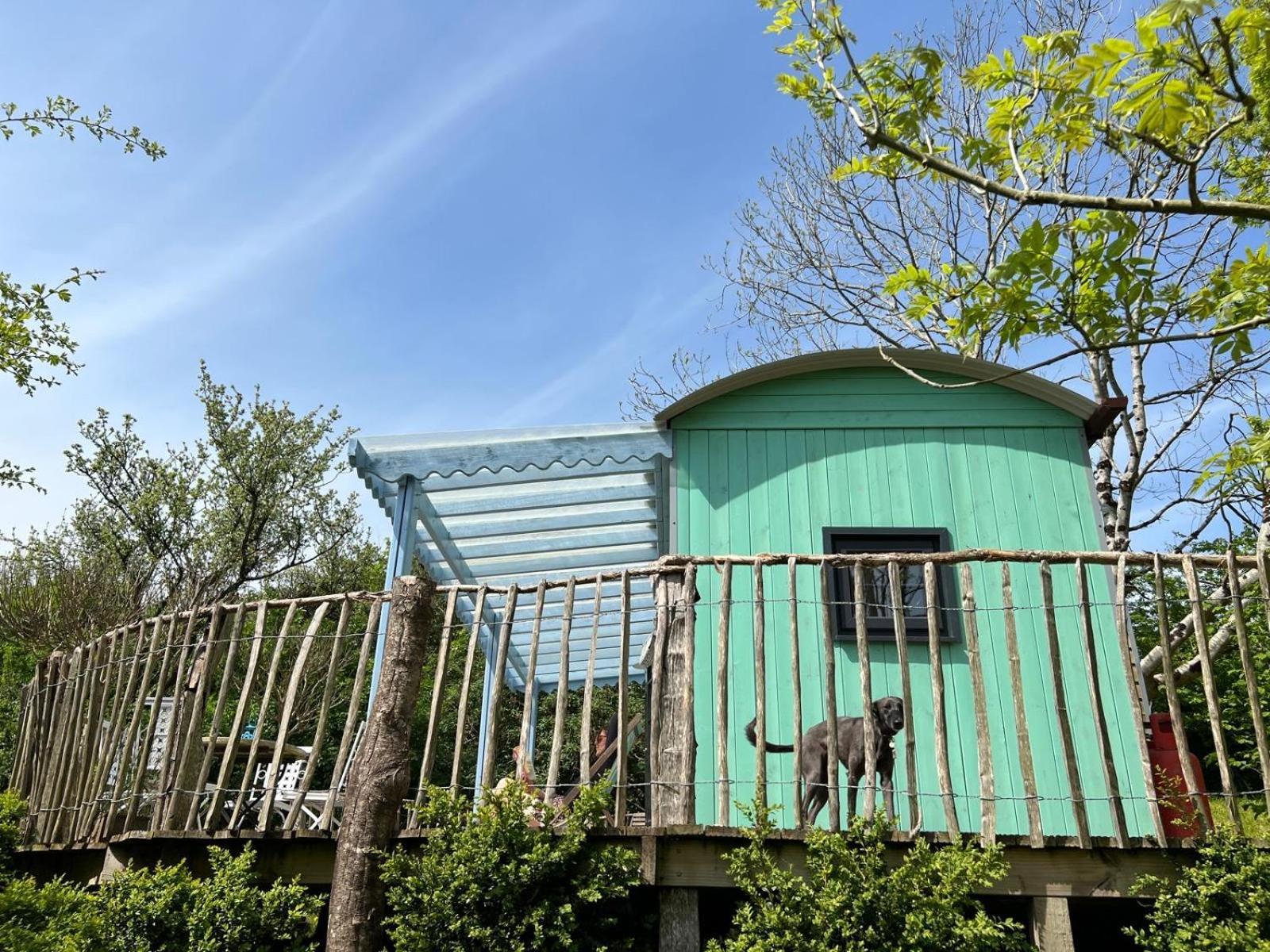 Lapin Cottage Long Bredy Exterior foto